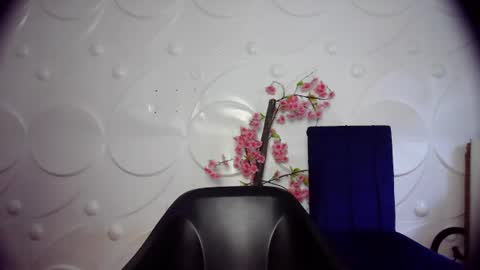 Snapshot of ebonykissxx chatting on 06-26-26, 11:36 ebonykissxx online show from 06-26-26, 11:36