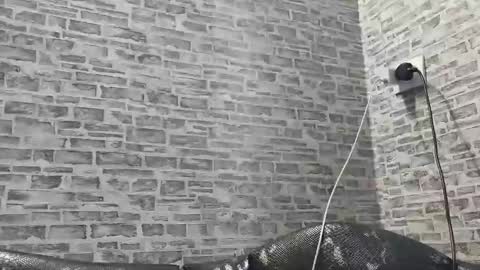 edithmanning online show from 02-27-25, 02:10