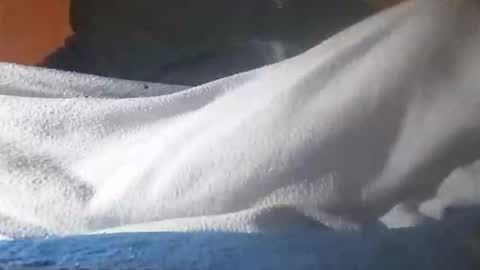 Davide online show from 11-12-25, 06:36