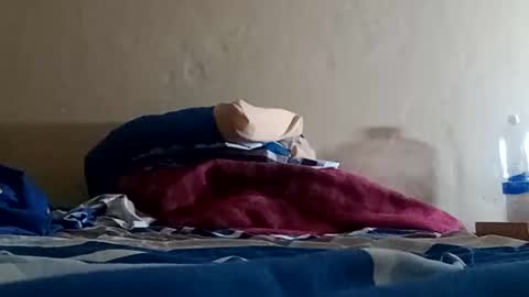 Sebastin online show from 01-05-25, 07:17