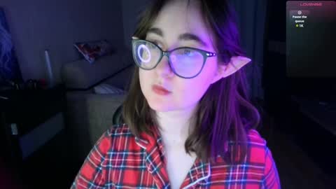 If you like it when I meow give me a thumbs up online show from 12-09-24, 02:17