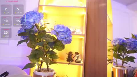 Elasummeer online show from 11-20-25, 11:54