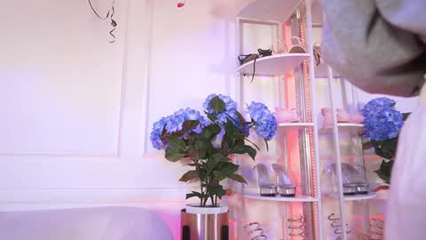 Elasummeer online show from 02-19-26, 11:50