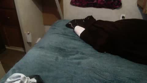 Snapshot of elegantdeviance69 chatting on 12-19-24, 01:18 ElegantDeviance69 online show from 12-19-24, 01:18