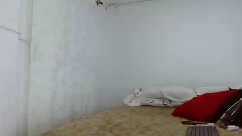 Snapshot of elektratattoo chatting on 09-16-25, 04:24 elektra online show from 09-16-25, 04:24