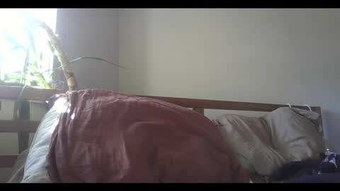 fox online show from 02-11-25, 09:14