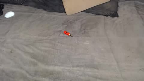 elgsslt online show from 03-11-26, 12:22