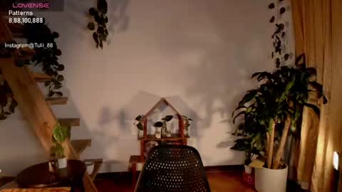 Snapshot of elizabethz chatting on 06-22-26, 01:07 Tuli online show from 06-22-26, 01:07
