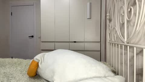 Rosa online show from 01-06-26, 01:04