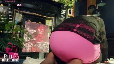 Snapshot of elli_degenerate chatting on 01-24-25, 12:52 Elli Degenerate online show from 01-24-25, 12:52