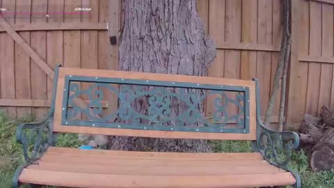 Ella Bella Bo Bella online show from 09-13-25, 05:13