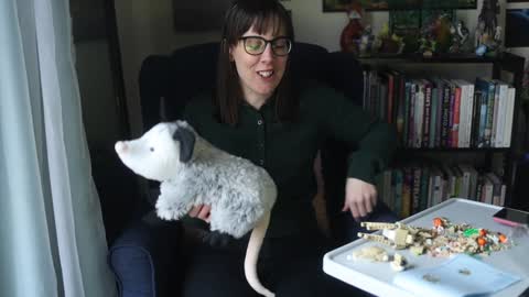 Elly Naomi online show from 01-31-25, 04:38