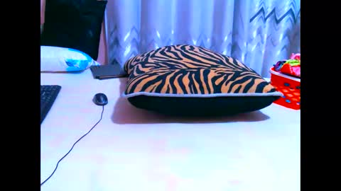 Snapshot of elodielynn chatting on 05-19-26, 04:41 elodielynn online show from 05-19-26, 04:41