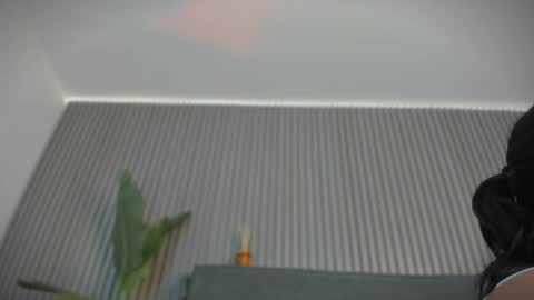 emelie_89 online show from 06-03-26, 11:35