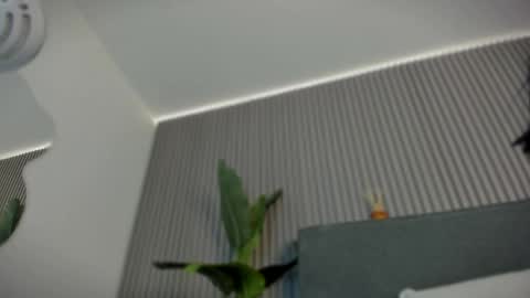 Snapshot of emelie_89 chatting on 06-06-26, 11:48 emelie_89 online show from 06-06-26, 11:48