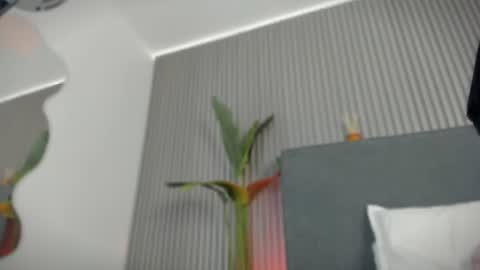 Snapshot of emelie_89 chatting on 07-06-26, 11:40 emelie_89 online show from 07-06-26, 11:40