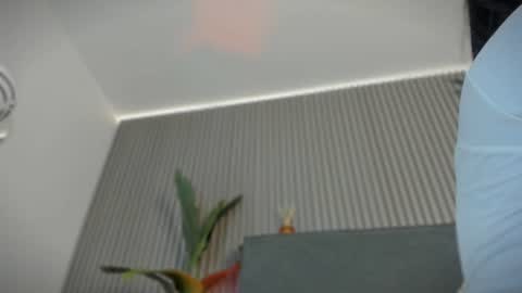Snapshot of emelie_89 chatting on 07-15-26, 11:48 emelie_89 online show from 07-15-26, 11:48