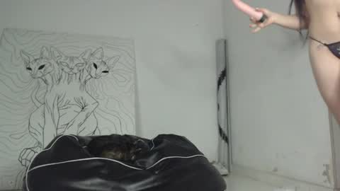 Snapshot of emiantonella_ chatting on 05-15-26, 11:01 Antonella online show from 05-15-26, 11:01