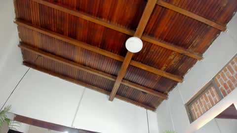 Emily  online show from 11-05-25, 11:21