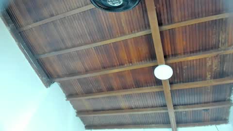 Emily  online show from 02-04-26, 11:05