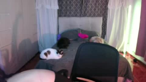 Emily  Swan online show from 04-26-26, 01:47