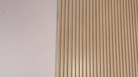 Emily online show from 04-03-26, 12:25