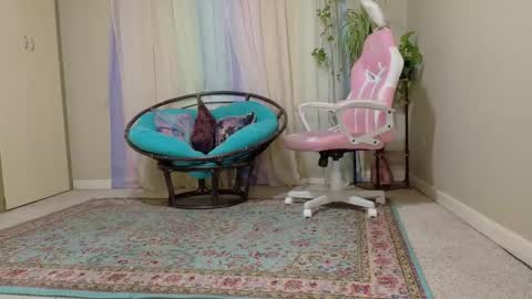 emily haze online show from 11-08-25, 05:56