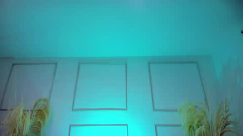 Snapshot of emilywillis8 chatting on 10-19-25, 01:34 E M I L Y online show from 10-19-25, 01:34