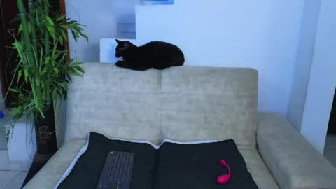 Snapshot of emma_blue_ chatting on 04-23-26, 03:08 Emma Blue modelo independiente online show from 04-23-26, 03:08