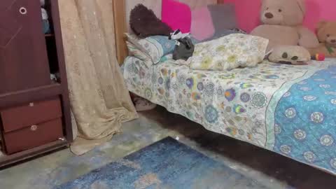 whises lits        online show from 02-24-25, 12:48