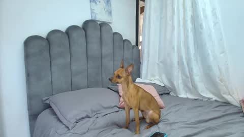 emma_saenz01 online show from 02-12-26, 08:37