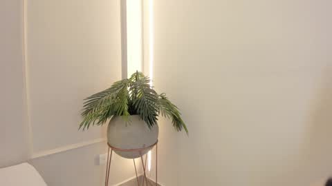 Emmiily online show from 01-19-25, 02:04