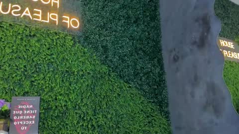 Emmiily online show from 02-11-25, 11:01