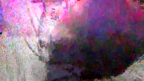 Batman online show from 01-18-25, 02:33