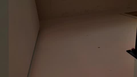 enzo_steel online show from 11-03-25, 07:37