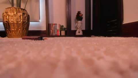 Venus Skye online show from 04-08-26, 07:14