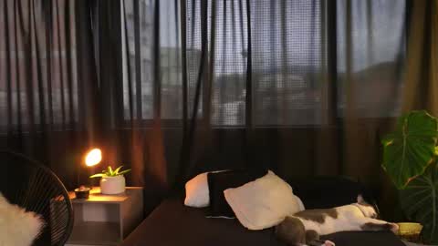 Snapshot of eroswild_ chatting on 12-16-25, 09:53 Eros Wild online show from 12-16-25, 09:53