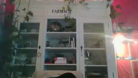 Snapshot of erwin1966 chatting on 01-07-25, 12:45 Erwins room welcome sound on online show from 01-07-25, 12:45