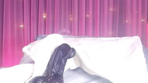 Estrella online show from 02-24-26, 11:52