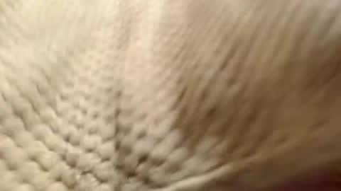 EVA  online show from 12-14-24, 07:29