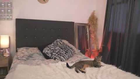 Snapshot of evajacksss_ chatting on 02-12-26, 09:21 evajacksss_ online show from 02-12-26, 09:21