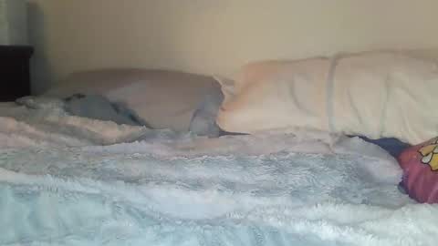 evangeline69xxx online show from 02-20-26, 06:26