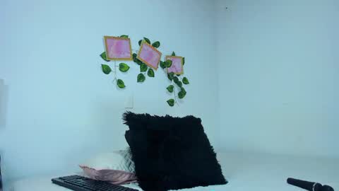 Snapshot of evelinmiller9 chatting on 09-16-25, 02:07 Evelin Miller online show from 09-16-25, 02:07