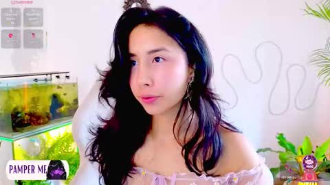 Im Eve or Chelle Next Stream 191224  online show from 02-18-26, 01:51