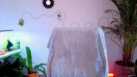 Im Eve or Chelle Next Stream 191224  online show from 05-02-26, 04:56