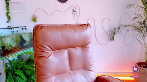 Im Eve or Chelle Next Stream 191224  online show from 05-04-26, 06:37