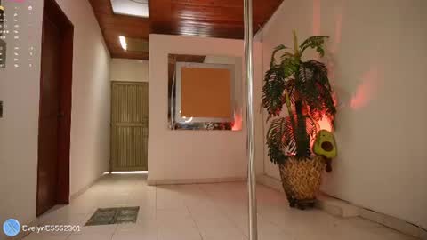 Snapshot of evelyn_evelyn chatting on 07-14-26, 03:29 evelyn evelyn online show from 07-14-26, 03:29