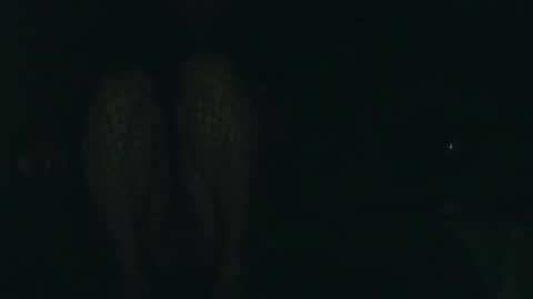 Snapshot of evermore8807 chatting on 12-14-25, 04:07 evermore8807 online show from 12-14-25, 04:07