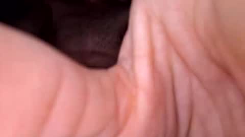 Exhibboytoy3 online show from 03-24-26, 07:24