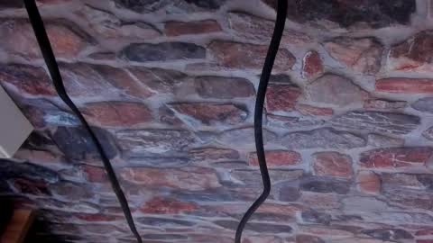 Snapshot of exotic_trans chatting on 01-15-26, 08:23 Adriana online show from 01-15-26, 08:23